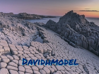 Davidhmodel