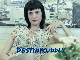 Destinycuddly