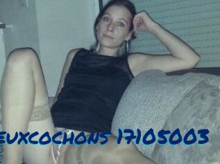 Deuxcochons