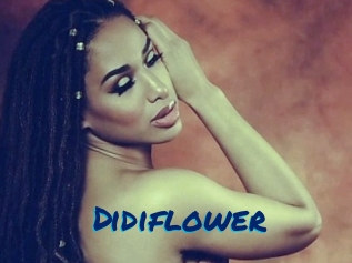 Didiflower