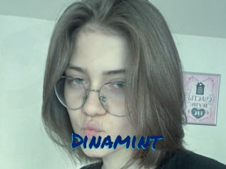 Dinamint
