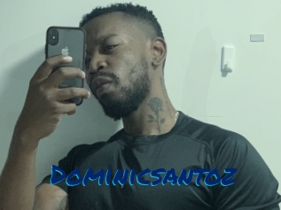 Dominicsantoz