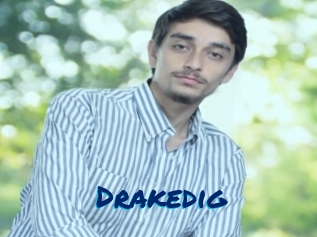 Drakedig