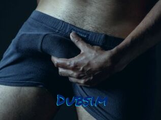 Dubsim