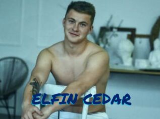 ELFIN_CEDAR