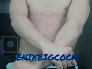 ENIXBIGCOCK