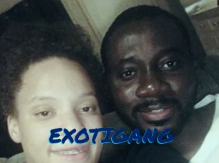 EXOTIGANG