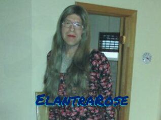 Elantra_Rose