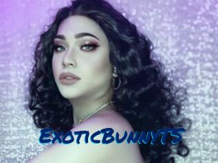 ExoticBunnyTS