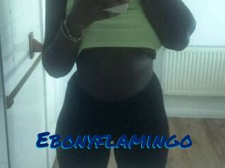 Ebony_flamingo