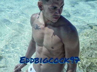 Eddbigcock97