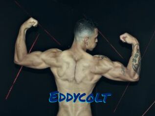 Eddycolt