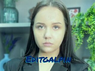 Editgalpin