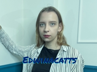 Edwinacatts