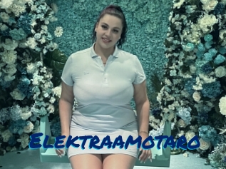 Elektraamotaro