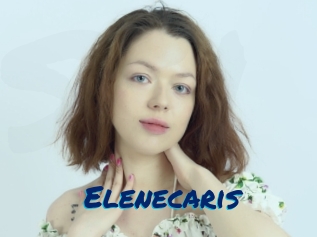Elenecaris