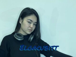 Elgacubitt