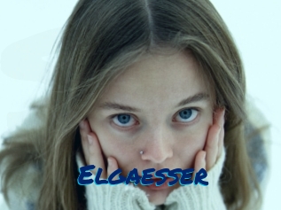 Elgaesser
