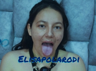 Elisapolarodi