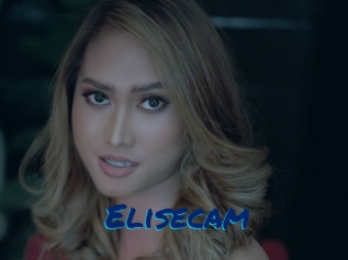 Elisecam