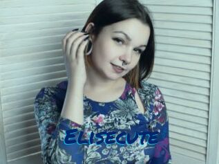 Elisecute