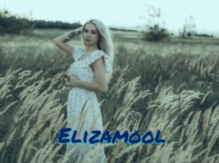 Elizamool
