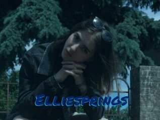 Elliesprings