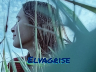 Elvagrise