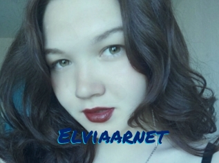 Elviaarnet