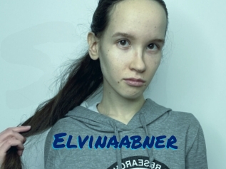 Elvinaabner