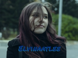 Elvinaatlee