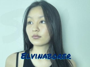 Elvinaborer