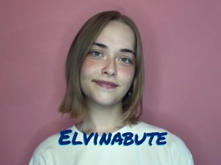 Elvinabute