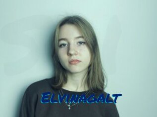 Elvinagalt