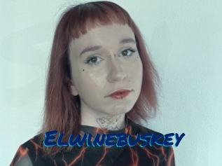 Elwinebuskey