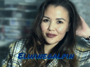 Elwinegalpin