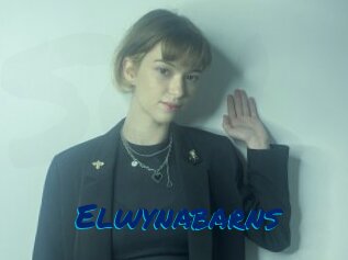 Elwynabarns
