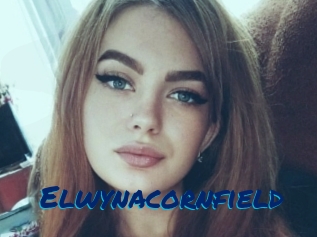 Elwynacornfield