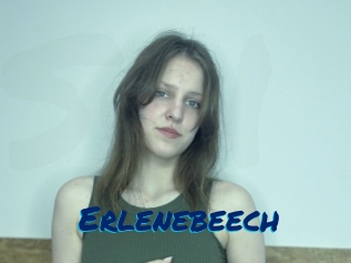 Erlenebeech