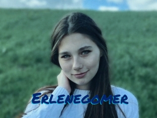 Erlenegomer