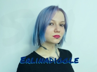 Erlinadiggle