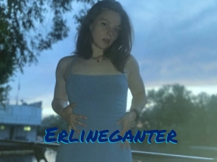 Erlineganter