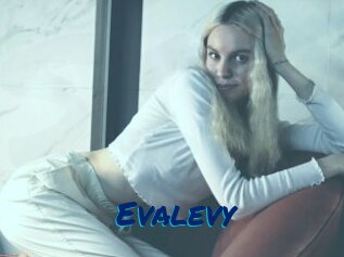 Evalevy