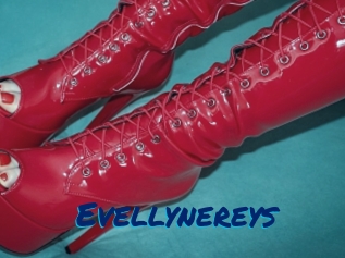 Evellynereys