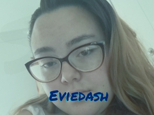 Eviedash