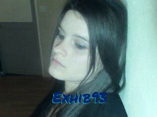 Exhib93
