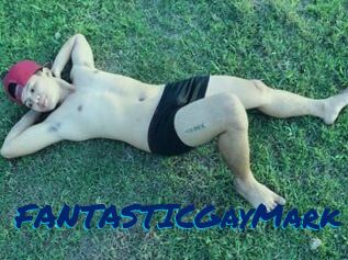 FANTASTICGayMark