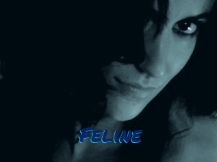 Feline
