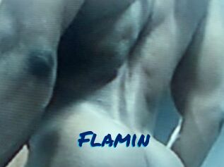 Flamin
