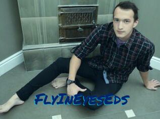 FlyInEyesEds